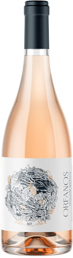 semisweet-rose-orfanos